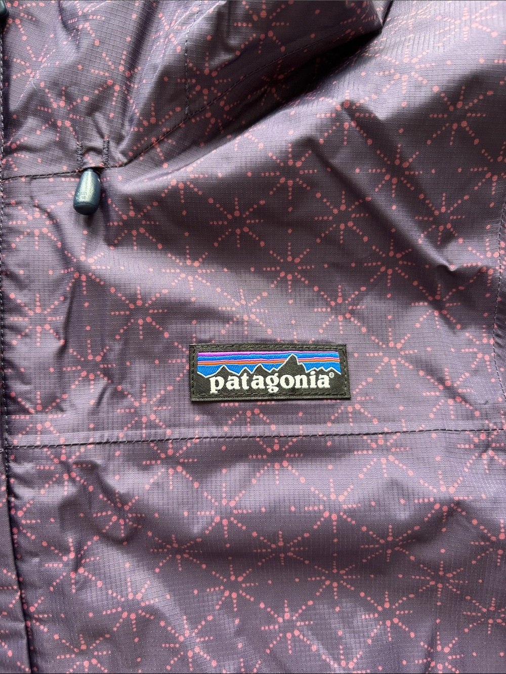 Patagonia Purple Hooded Shell Jacket - Picture 2 of 8